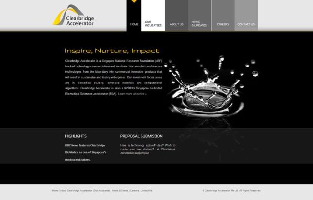Clearbridge Accelerator. 15 corporate website designs by alittletypical.